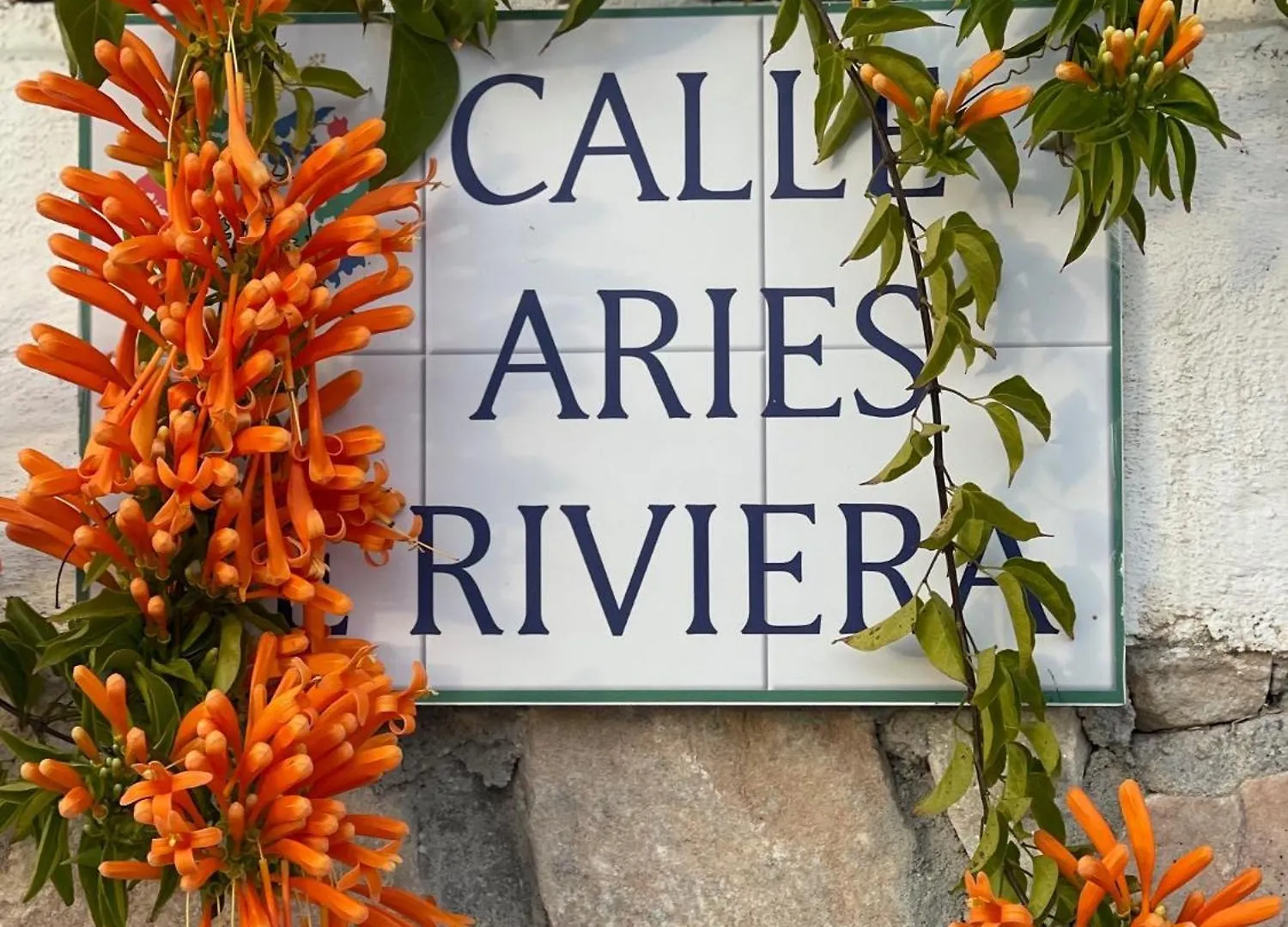 Bed and Breakfast Casa Flora - Mijas Costa - Andalusie Bed & Breakfast